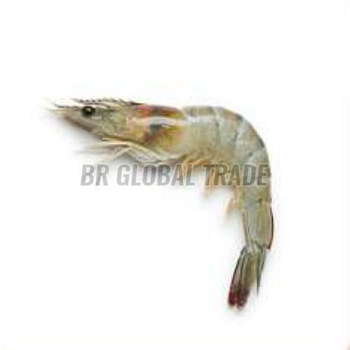 Frozen Vannamei Shrimp, Packaging Type : Vacuum-sealed for Cooking