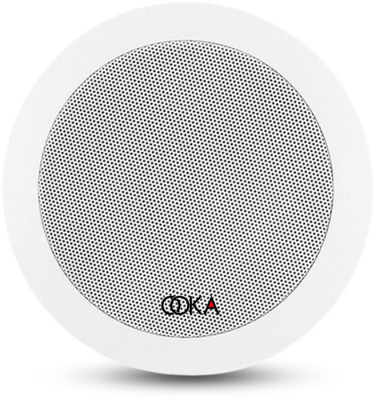 Ooka Audio 630T Ceiling Speaker
