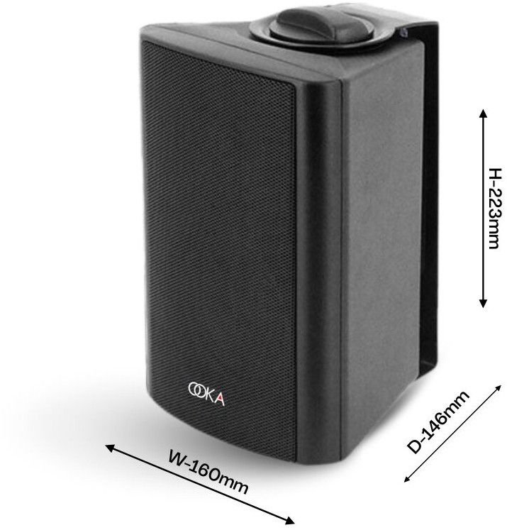 Ooka Audio i20 Wall Mount Speaker