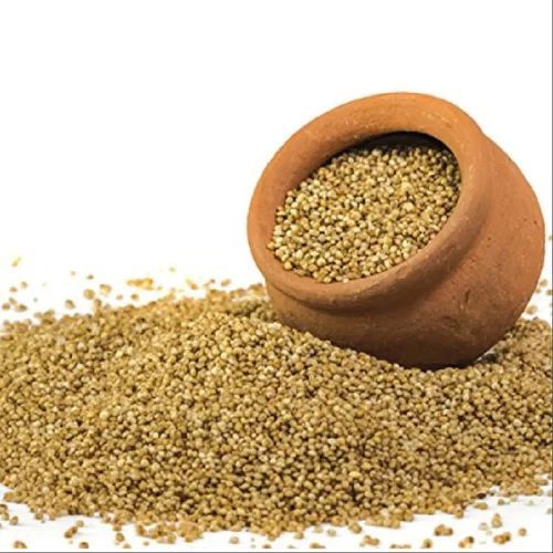 Barnyard Millet Seeds 12 Months for Cooking, Baking