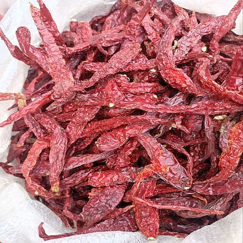 Byadogi Stemless Dry Red Chilli for Culinary