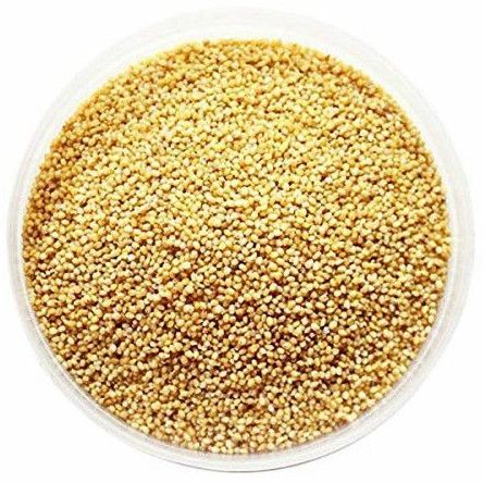 Foxtail Millet Seeds 12months for Cooking, Baking