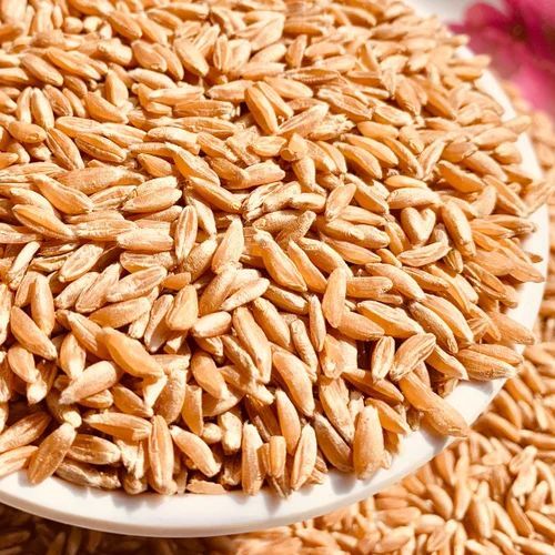 Khapli Wheat Grain 12 Months for Cooking, Baking