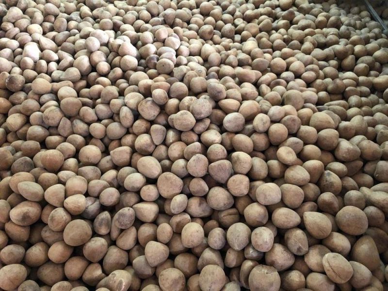 B Grade Dry Coconut Copra