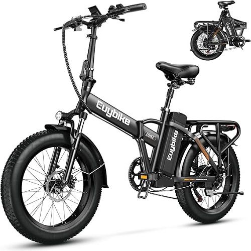 1000W Folding Electric Bike, 48V 20AH Large Removable Batter