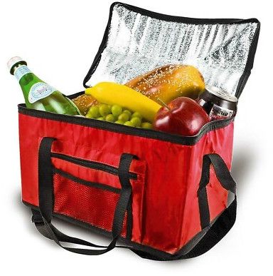Plain Insulated Cooler Bag, Color : Multicolor