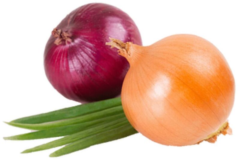 Egyptian Onion