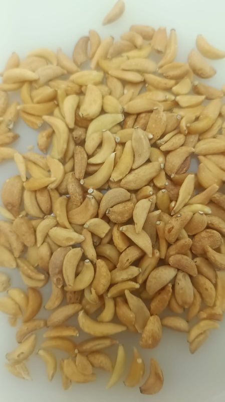 Dehydrated Garlic Flake