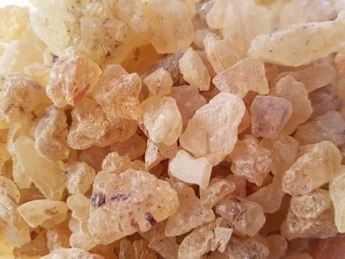 Pharma Grade Copal Gum Crystal