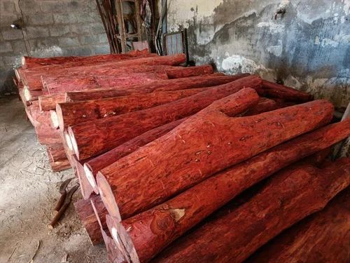 Polished red sandal wood logs, Shape : Round, Length : 8 Feet