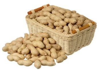 Groundnut in Shell, Color : Brown