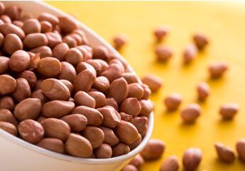 Peanuts - Java for Confectionary, Food Industries