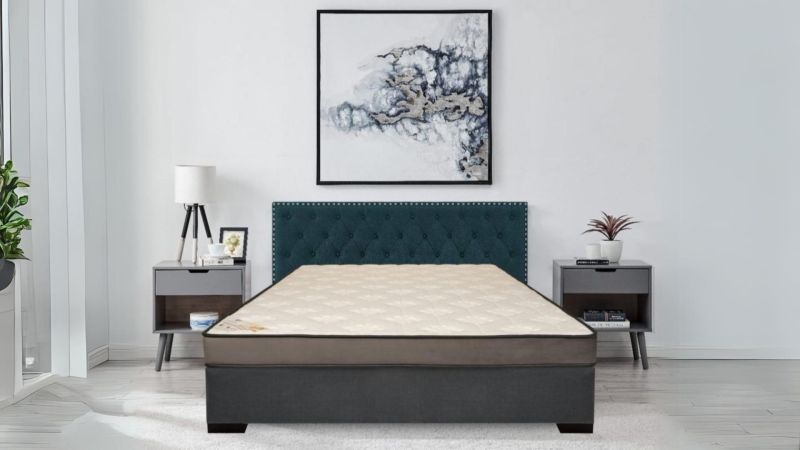 Naturapedic Mattresses