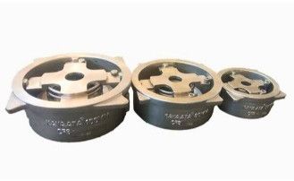 Non-Slam Check Valve