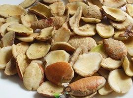 Ashwagandha Extract, Botanical Name : Mangifera Indica