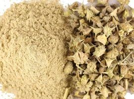 Tribulus Terrestris Extract