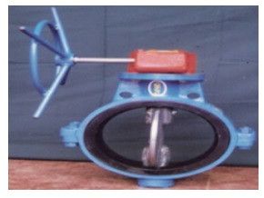Gear Operated Butterfly Valve
