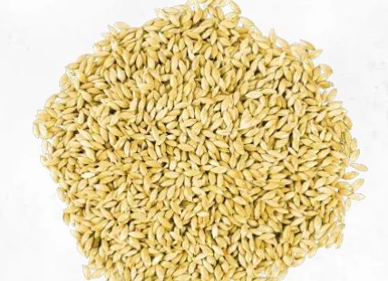 Canary Seeds