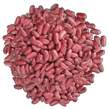 Light Red Kidney Beans