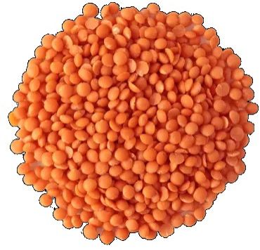 Red Football Lentils