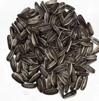 Sunflower Seeds