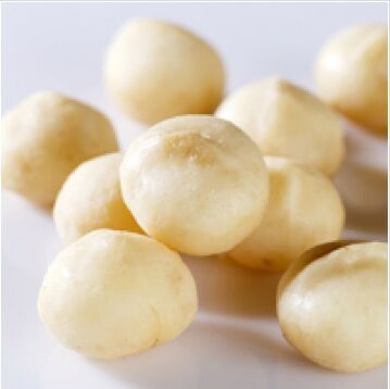 Macadamia Nuts, Color : Creamy White, Grade : Premium