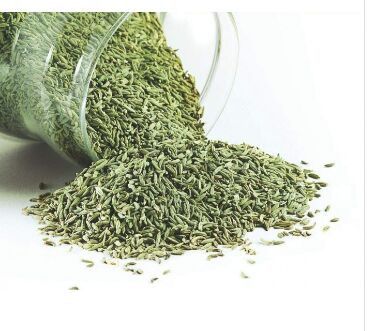 Rasbhari Saunf, Color : Green