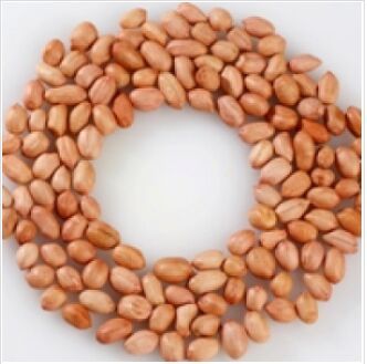 Peanuts Raw Groundnuts, Color : Brown Small