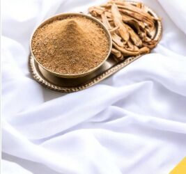 Special Dry Mango Powder