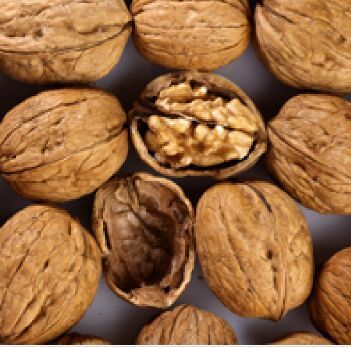 Walnuts with Shell, Shape : Irregular, Packaging Type : Bulk