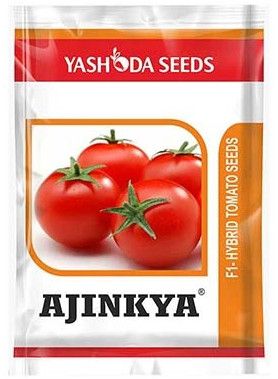 Best Hybrid Tomato Seeds Ajinkya