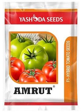 Best Hybrid Tomato Seeds Amrut