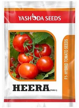 Best Hybrid Tomato Seeds Heera