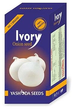 Best Onion Seeds Ivory