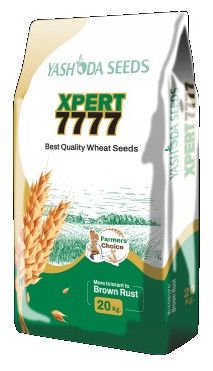 Best Research Wheat Seeds Xpert 7777