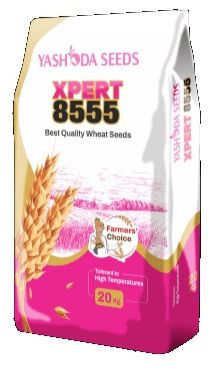 Best Research Wheat Seeds Xpert 8555 for Agriculture