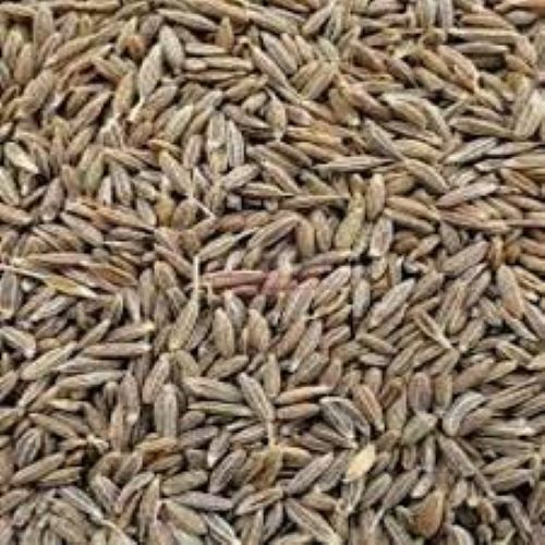 Jeera, Packaging Size : 50kg