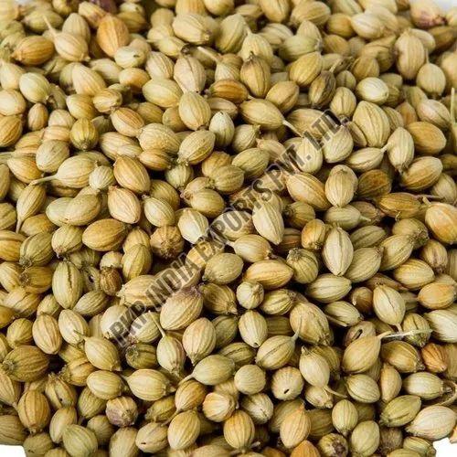 A Grade Coriander Seeds