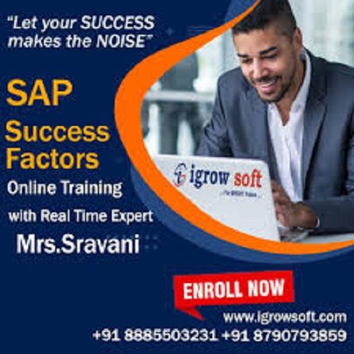 Sap Online Training Institute