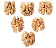 walnut kernels