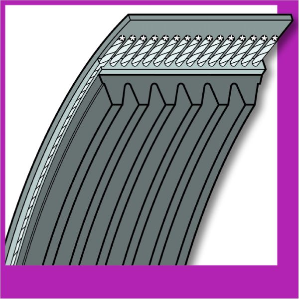 Poly V Belt