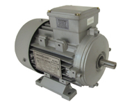 AC Induction Motors