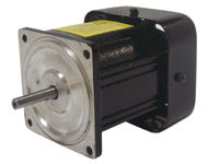 FHP AC INDUCTION MOTORS