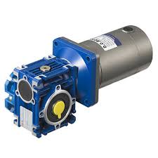 Worm Gear Motor