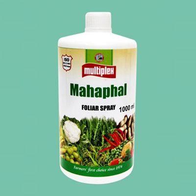 Mahaphal