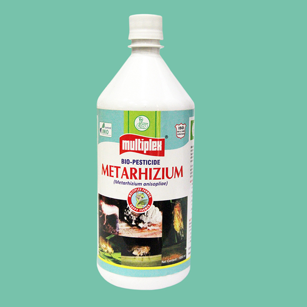 Metarhizium-Bio product