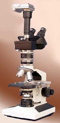 Trinocular Polarizing Microscope