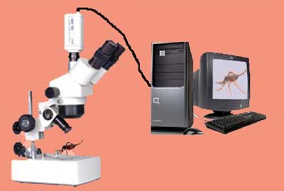 Zoom Stereo Trinocular Microscope