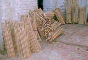 raw bamboo