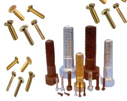 Brass Cold Forged Fasteners